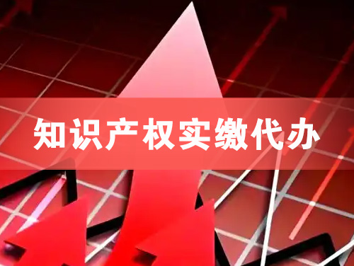 日喀则知识产权实缴资本代办